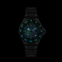 SWISS GMT LONDON BUCKINGHAM PALACE - ULTRA DISTRESSED